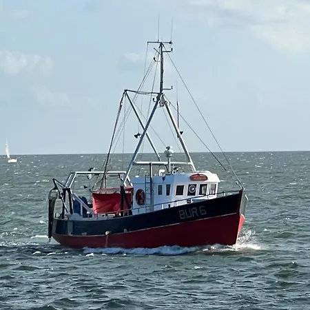 Insel Koje 1 Daire
